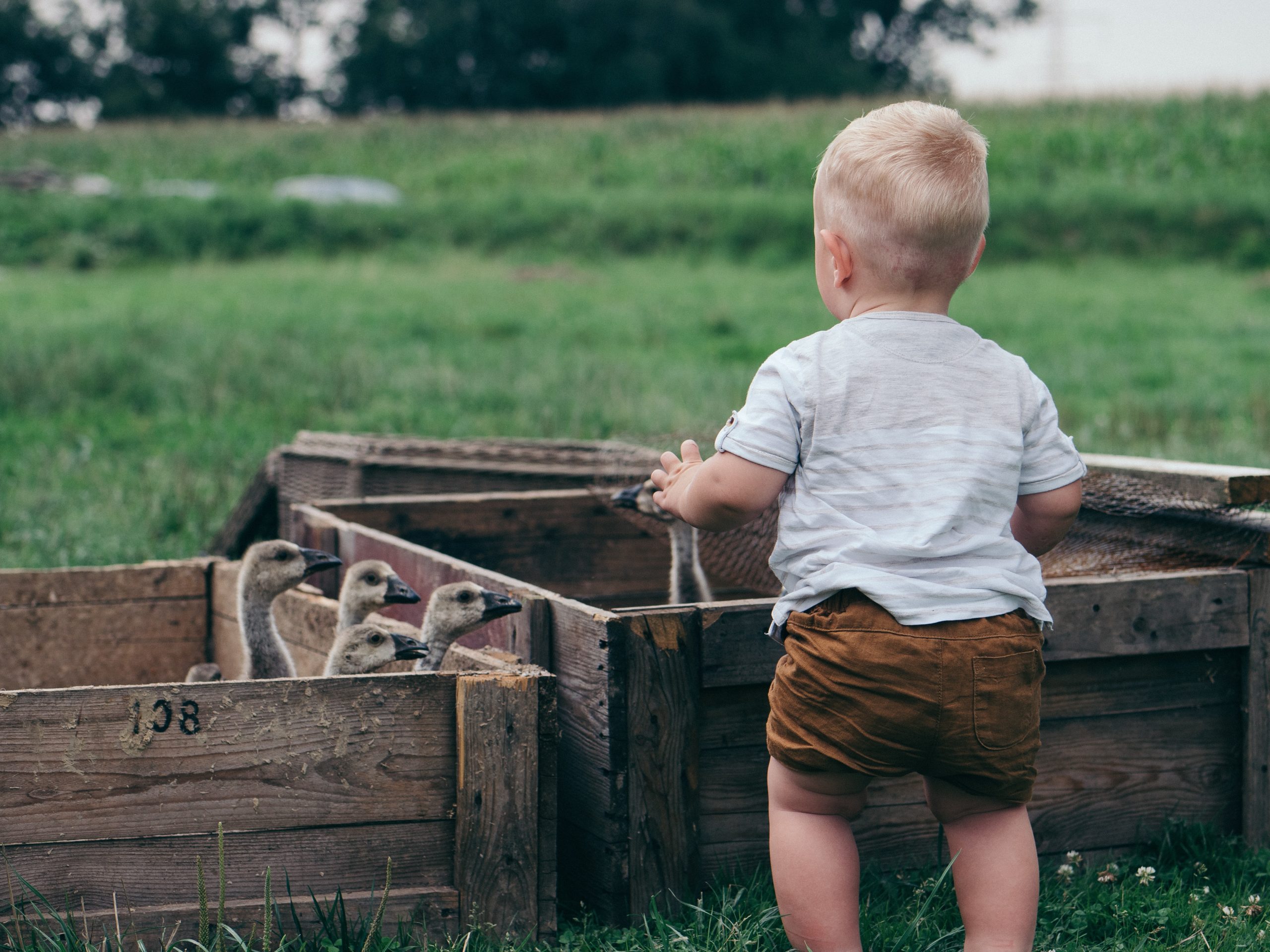 école dans la nature Montussan école dans la nature Montussan