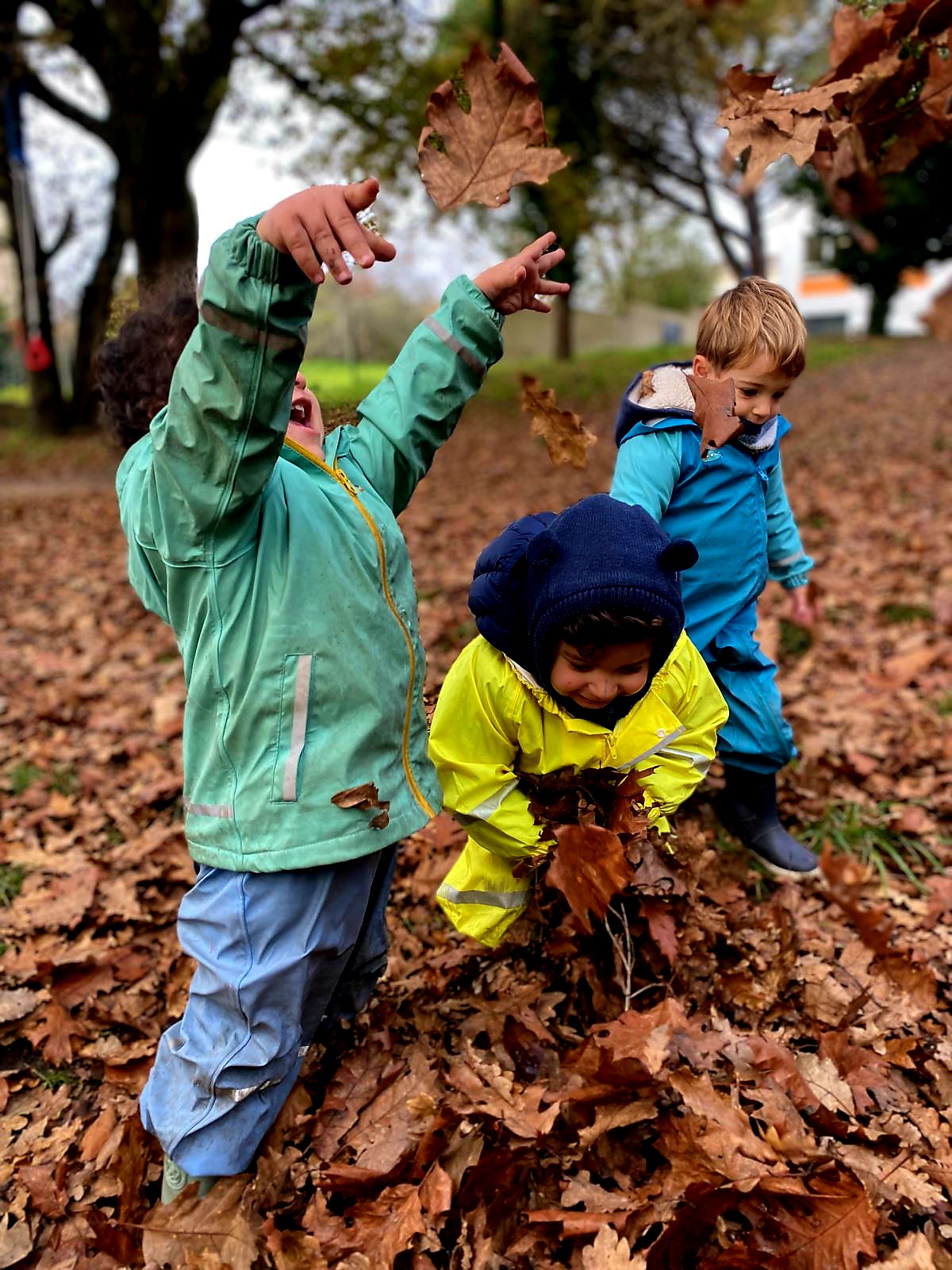 respect de la nature à l'école alternative